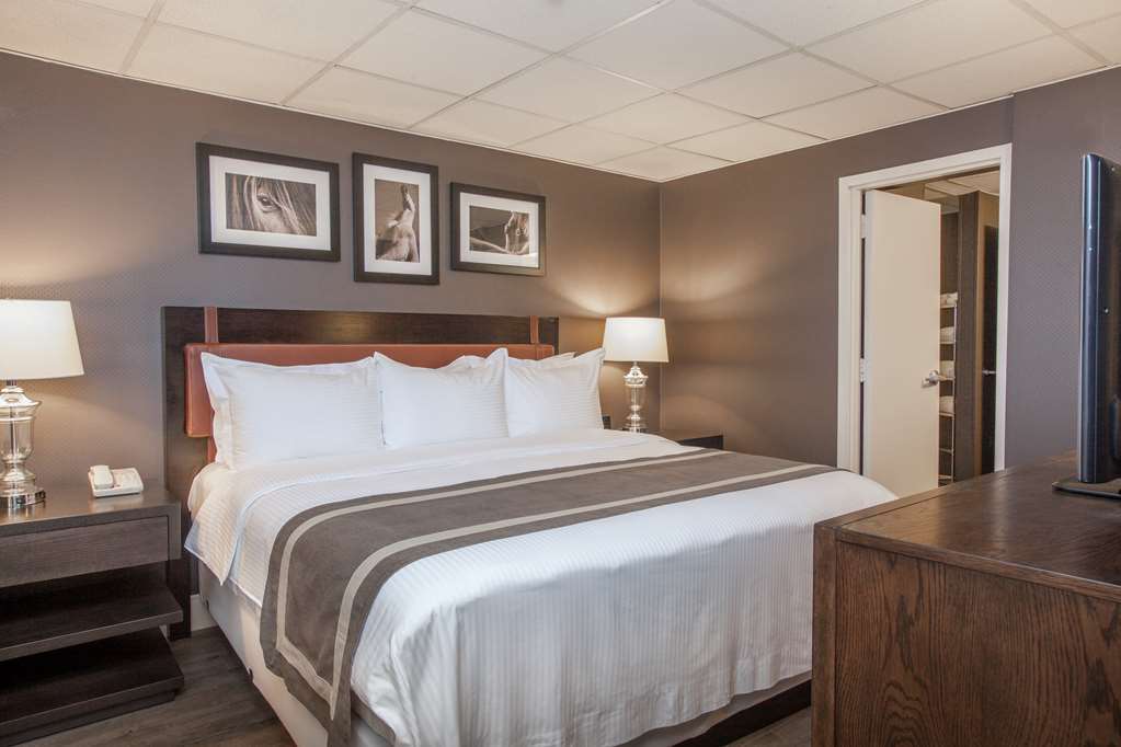 Delta Hotels By Marriott Baltimore Hunt Valley Chambre photo
