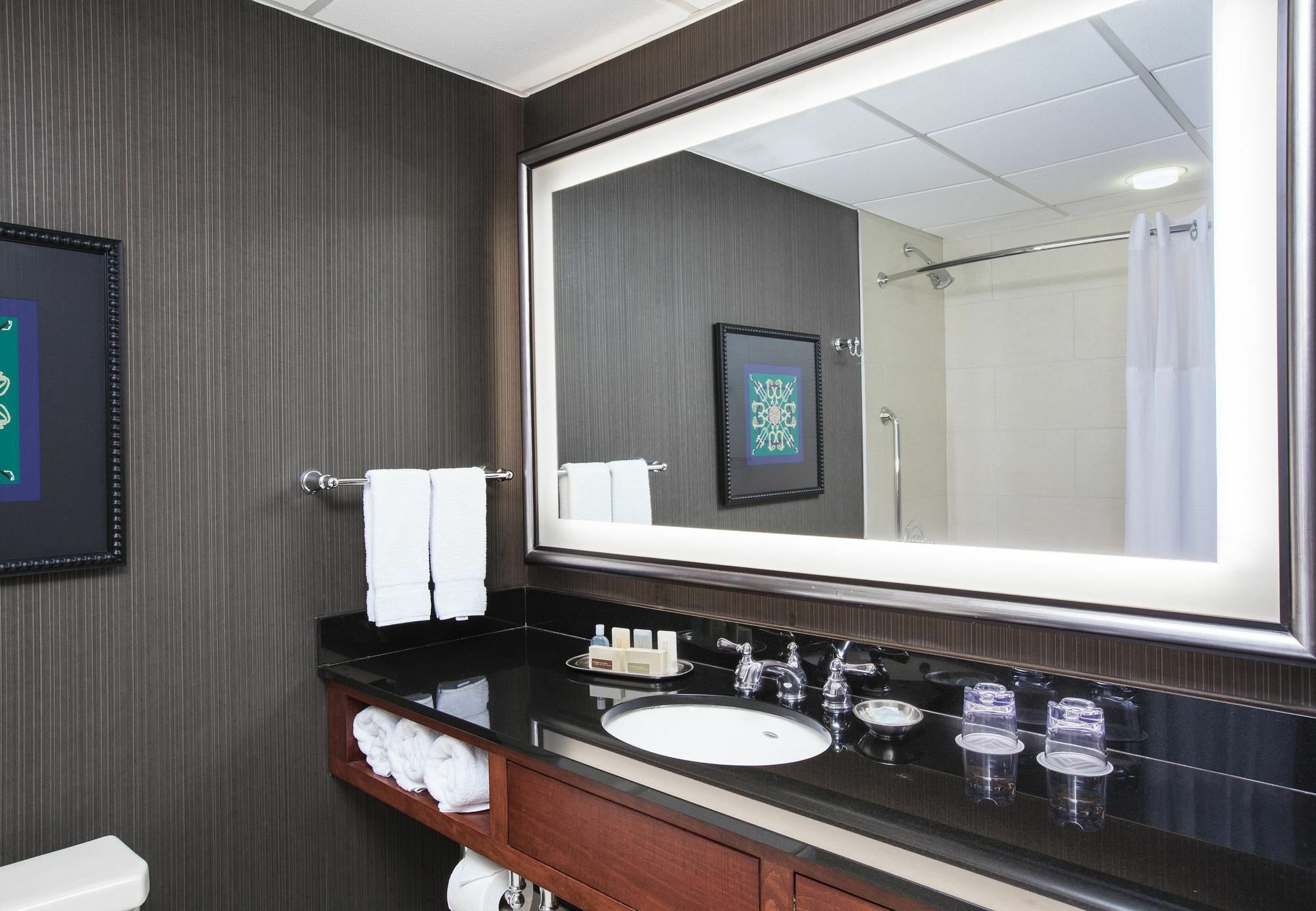 Delta Hotels By Marriott Baltimore Hunt Valley Extérieur photo